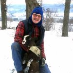 Schafe streicheln 03