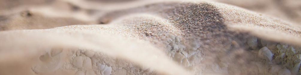 Schneckensuche im Sand Steinheimerbecken