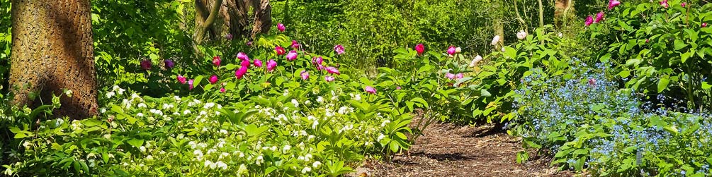 Botanische-Wanderung