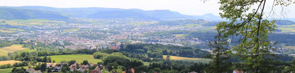 Blick vom Braunenberg nach Aalen